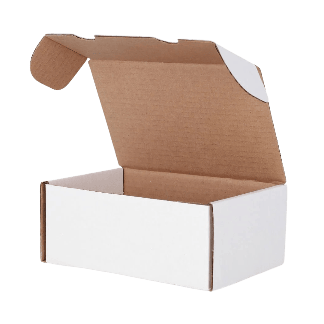 BCW Graded Trading Card Box