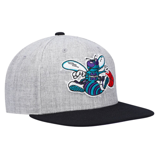 Charlotte Hornets Mitchell and Ness Heather Underpop Snapback Hat