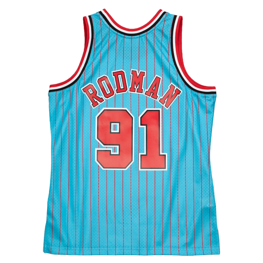 Dennis Rodman Chicago Bulls 1995-96 Baby Blue Swingman Jersey – Fan Cave