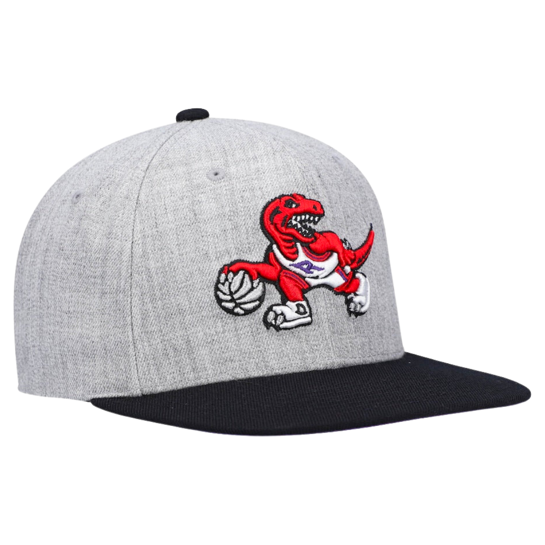 Toronto Raptors Mitchell & Ness NBA Core Snapback Hat
