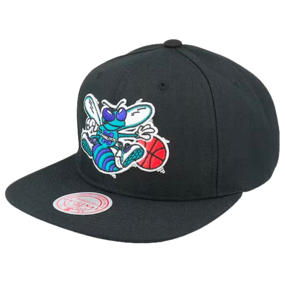 Charlotte Hornets Mitchell and Ness Core Basic Snapback Hat