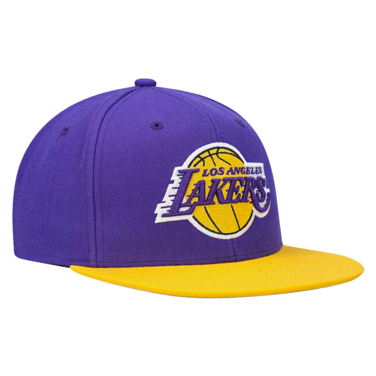 Los Angeles Lakers Mitchell and Ness Two Tone Core Basic Snapback Hat