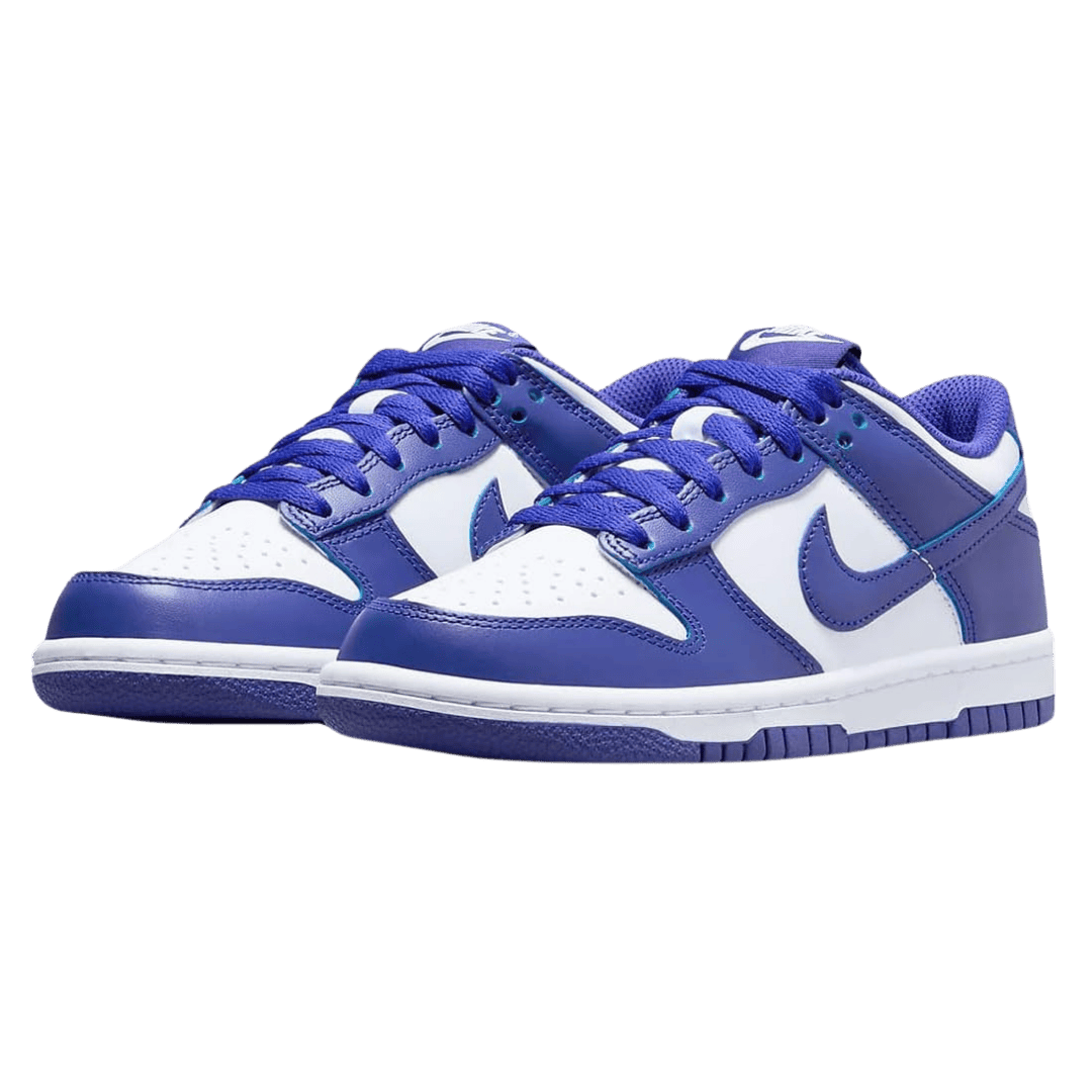 Nike Dunk Low Concord (GS)