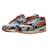 Nike Air Max 1 SP Concepts Heavy