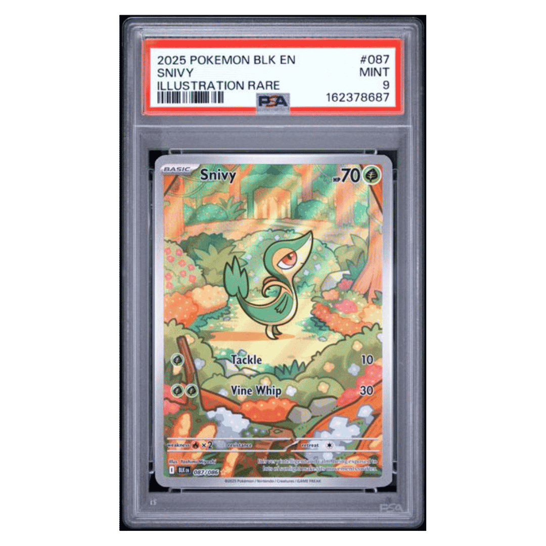 Snivy PSA 9 2025 Pokemon Black Bolt Illustration Rare Card #087