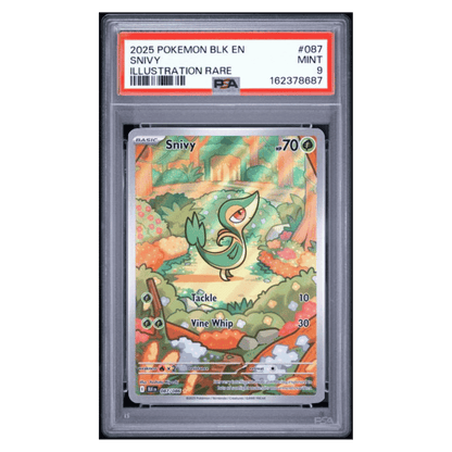Snivy PSA 9 2025 Pokemon Black Bolt Illustration Rare Card #087