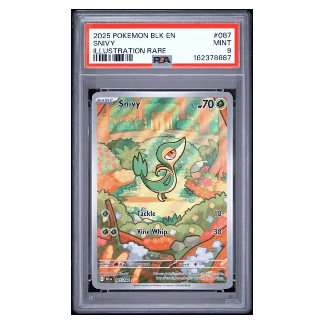 Snivy PSA 9 2025 Pokemon Black Bolt Illustration Rare Card #087