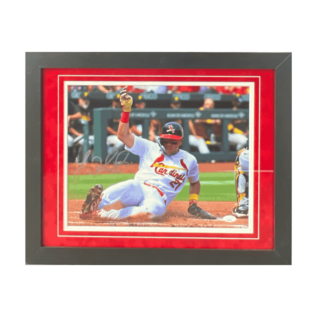 Lars Nootbaar St Louis Cardinals Autographed Framed 11x14 Photo - JSA COA
