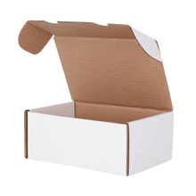 BCW Graded Trading Card Box