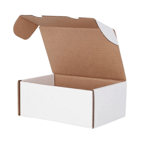 BCW Graded Trading Card Box