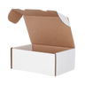 BCW Graded Trading Card Box