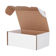 BCW Graded Trading Card Box