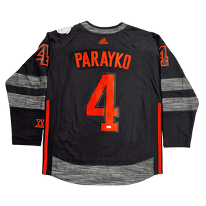 Descriptive image text