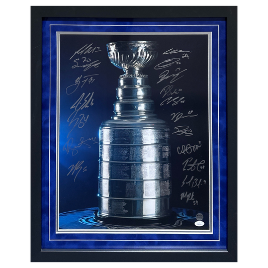 St Louis Blues 2019 Stanley Cup Team Autographed Framed 16x20 - JSA & Fan Cave COA (18 Autographs)