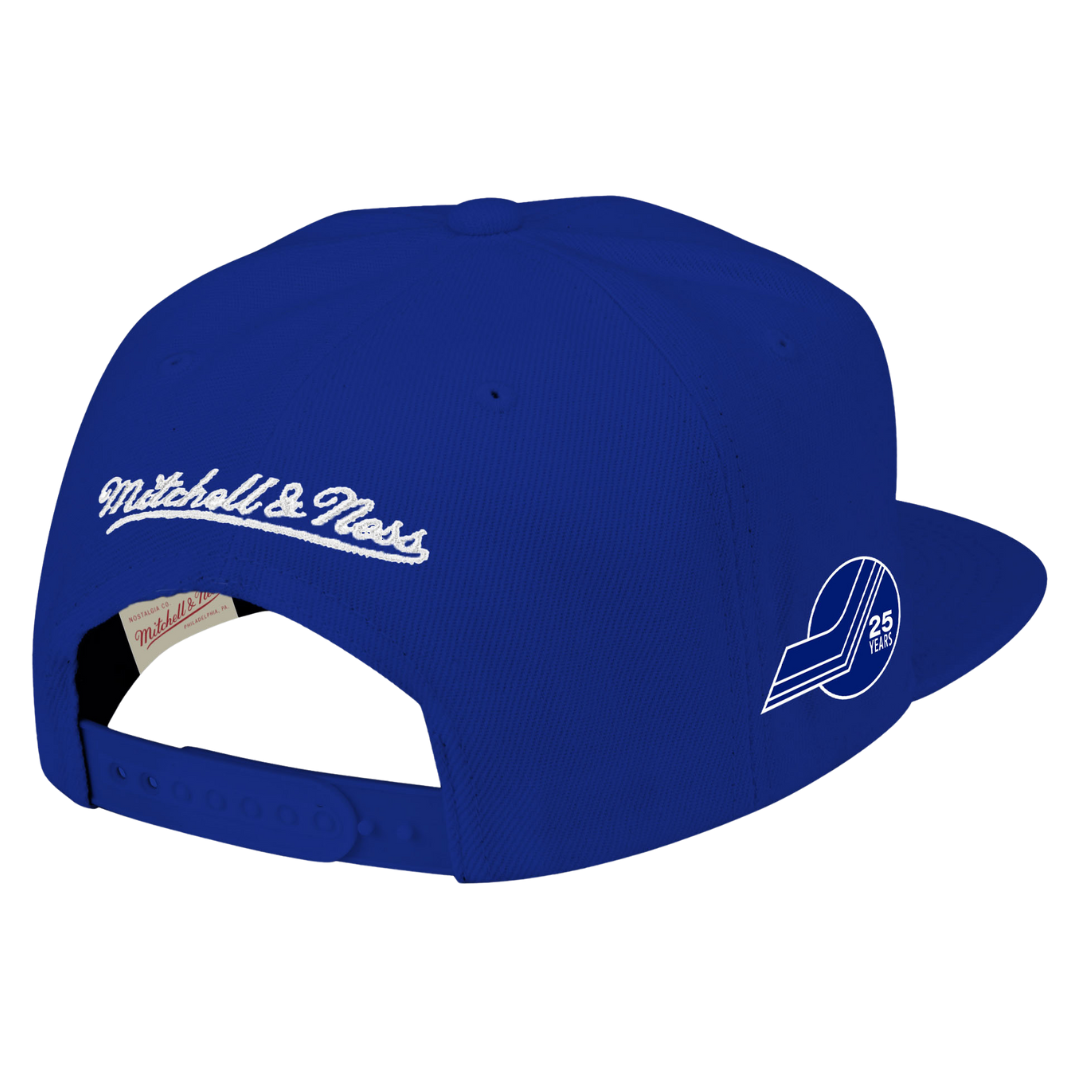 St Louis Blues Back to Baics Mitchell and Ness Snapback Hat