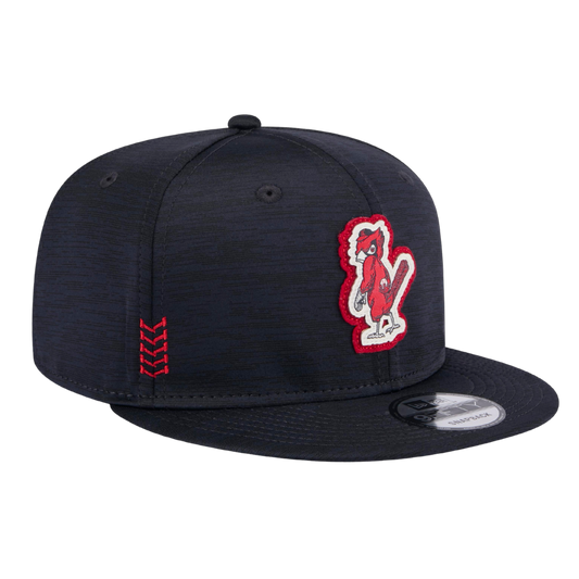 St Louis Cardinals 9FIFTY Snapback Hat