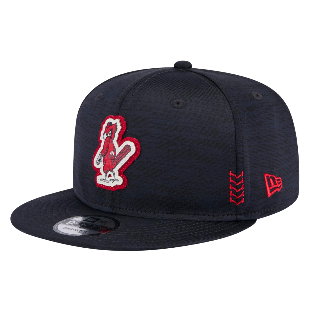 St Louis Cardinals 9FIFTY Snapback Hat