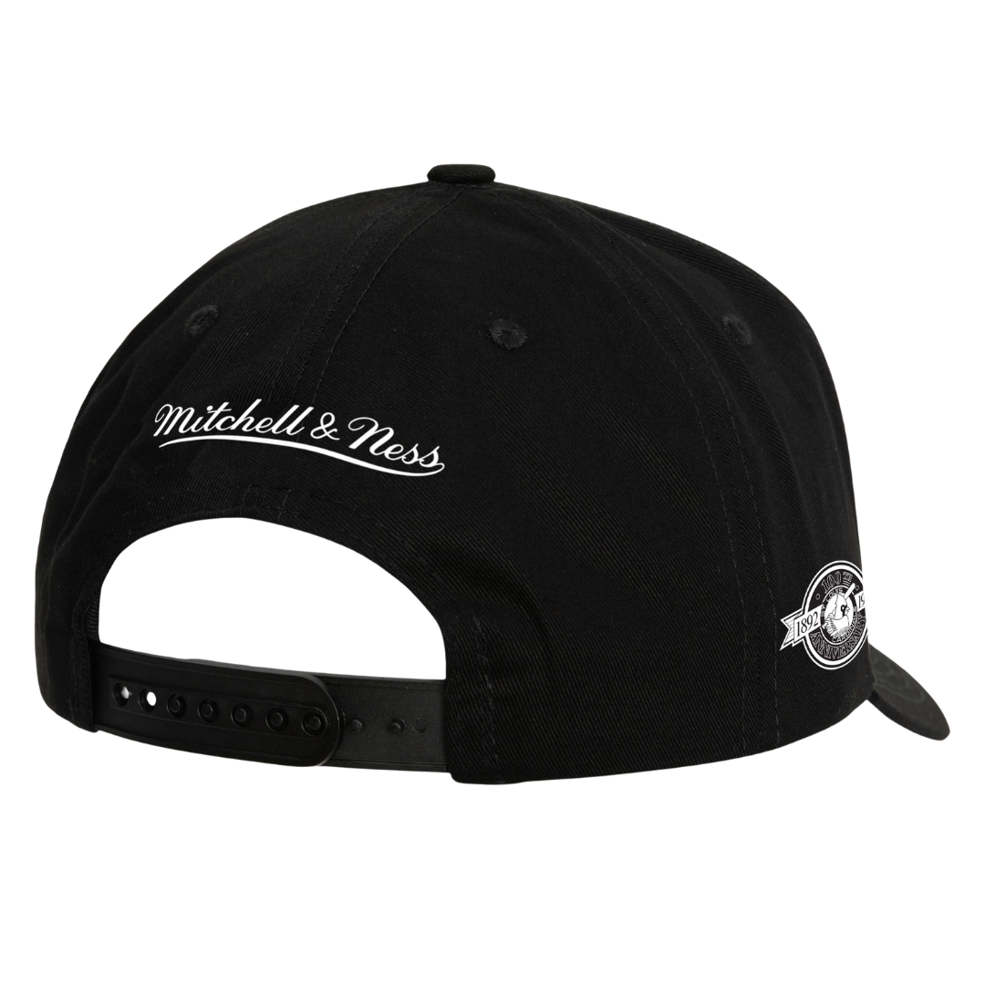 St Louis Cardinals Panda Mitchell and Ness Pro Snapback Hat