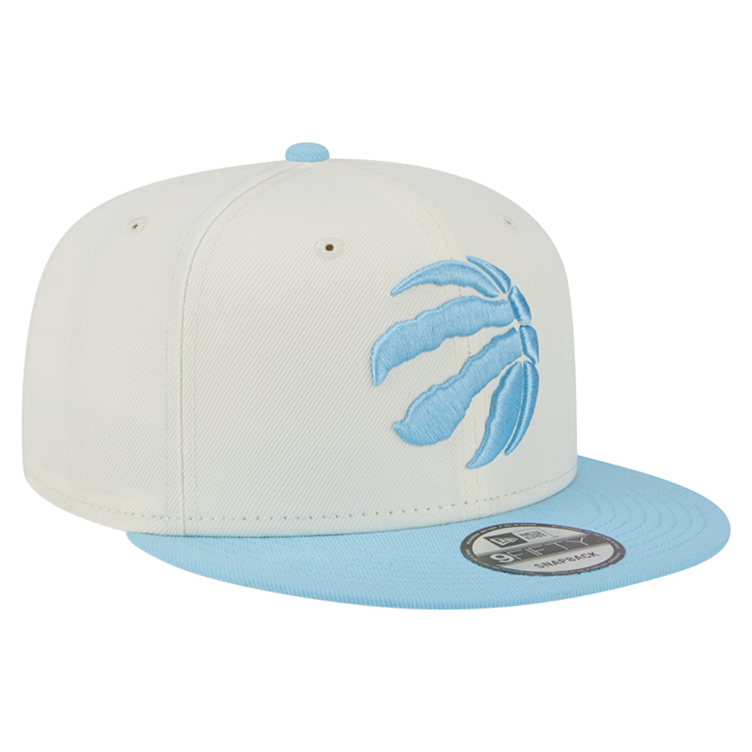 Toronto Raptors Color Pack 9FIFTY Snapback Hat