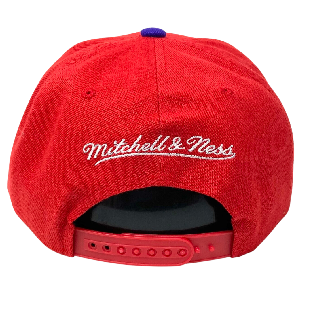 Toronto Raptors Mitchell and Ness Two Tone Core Basic Snapback Hat