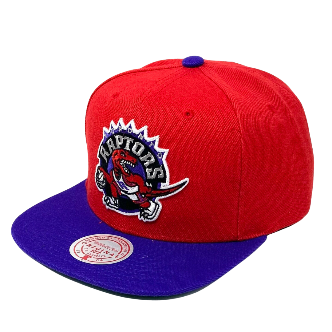 Toronto Raptors Mitchell and Ness Two Tone Core Basic Snapback Hat